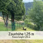 Huettenchalet Waldschatz Mit Sauna, Kamin Und Eingezaeunt Tatil Evi Alpirsbach