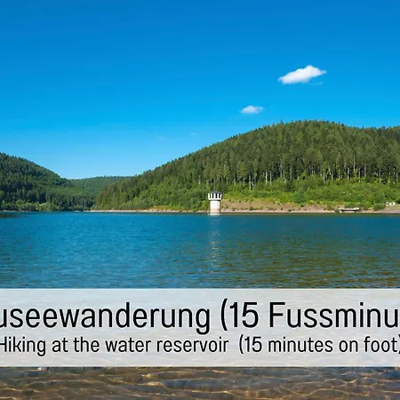 Hüttenchalet Waldschatz Сasa de vacaciones