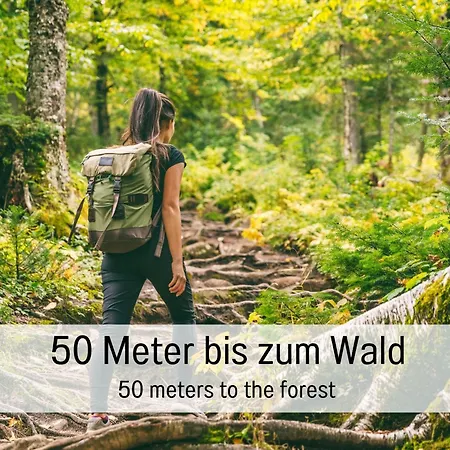 Hüttenchalet Waldschatz Сasa de vacaciones *