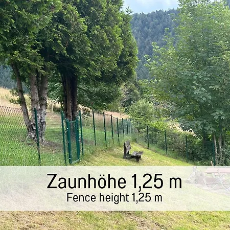 Hüttenchalet Waldschatz Сasa de vacaciones Alpirsbach